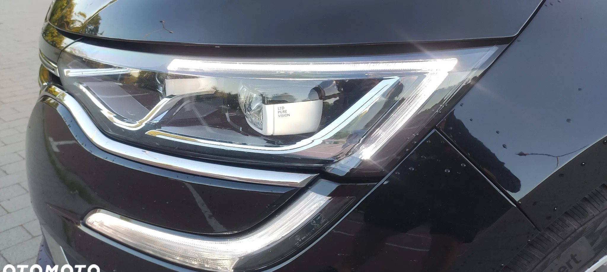 Renault Talisman cena 82900 przebieg: 119500, rok produkcji 2020 z Nowogrodziec małe 407